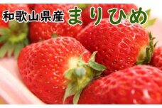 【4月発送】和歌山県産ブランドいちご「まりひめ」約300g×2パック入り ※北海道・沖縄・離島への配送不可 ※2026年4月上旬～4月下旬頃に順次発送予定