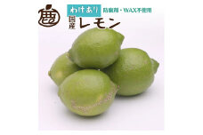 ＜9月より発送＞家庭用 レモン2.5kg+250g（傷み補償分）【和歌山有田産】【防腐剤・WAX不使用、安心の国産レモン】【わけあり・訳ありレモン】 ※北海道・沖縄・離島への配送不可 ※2025年9月中旬～2026年4月下旬頃に順次発送予定