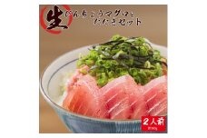 那智勝浦直送！天然もちもち生ビン長まぐろとたたきセット 2人前 ※離島への配送不可