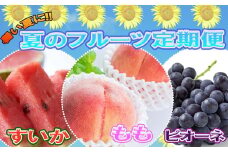 〈定期便〉【6・7・8月 全3回】和歌山の夏の人気フルーツ（小玉スイカ・桃・たねなしピオーネ）※北海道・沖縄・離島への配送不可