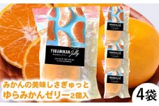 旬の2個入りゼリー4袋 みかんの美味しさぎゅっと詰めました