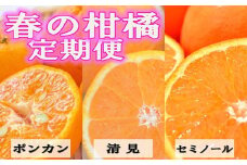 〈定期便〉【2・3・4月 全3回】和歌山の春の柑橘（ポンカン・清見オレンジ・セミノールオレンジ）｜フルーツ ふるーつ 果物 くだもの 詰め合わせ 果物定期便 みかん オレンジ いちご 国産 産地直送 美浜町厳選館 美浜町