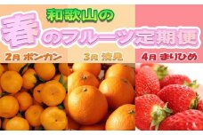 〈定期便〉【2・3・4月 全3回】和歌山の春のフルーツ（ポンカン・清見オレンジ・まりひめ） ◇｜フルーツ ふるーつ 果物 くだもの 詰め合わせ 果物定期便 みかん オレンジ いちご 国産 産地直送 美浜町厳選館 美浜町　※北海道・沖縄・離島への配送不可