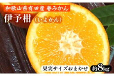 伊予柑（いよかん）［約8kg］和歌山県有田産 春みかん【果実サイズおまかせ】 ｜ 和歌山県産 柑橘 フルーツ 紀伊国屋文左衛門本舗 ※2025年1月中旬～2月中旬頃に順次発送予定