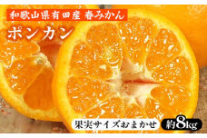 ポンカン［約8kg］和歌山県 有田産 春みかん 春柑橘【果実サイズおまかせ】 ｜ 和歌山県産 柑橘 フルーツ 紀伊国屋文左衛門本舗 ※2025年1月下旬～2月下旬頃に順次発送予定