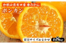 ポンカン［約8kg］和歌山県 有田産 春みかん 春柑橘【果実サイズおまかせ】 ｜ 和歌山県産 柑橘 フルーツ 紀伊国屋文左衛門本舗