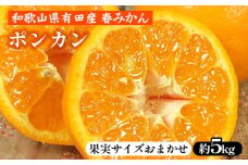 ポンカン［約5kg］和歌山県 有田産 春みかん 春柑橘【果実サイズおまかせ】 ｜ 和歌山県産 柑橘 フルーツ 紀伊国屋文左衛門本舗 ※2025年1月下旬～2月下旬頃に順次発送予定