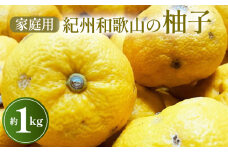 【先行予約】【農家直送】【国産】紀州和歌山の柚子(ご家庭用)　1kg　※2024年10月下旬～2025年1月下旬頃に順次発送予定 ※沖縄・離島への配送不可