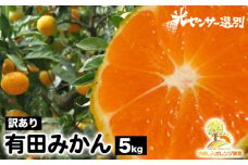 【先行受付】【訳あり】有田みかん 5kg ｜ 農家直送 訳あり ご家庭用 サイズ混合 光センサー選別 温州みかん みかん 訳あり わけあり 家庭用 ※2025年11月中旬～12月下旬頃に順次発送予定 ※北海道・沖縄・離島への配送不可