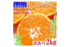 みかん 2kg sサイズ ssサイズ ｜ 訳あり 有田みかん S‐SS ご家庭用 和歌山県 小玉みかん
※北海道・沖縄・離島への配送不可
※2024年10月下旬～2025年1月下旬頃に順次発送予定