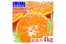 みかん 4kg sサイズ ssサイズ ｜ 訳あり 有田みかん S‐SS ご家庭用 和歌山県 小玉みかん
※北海道・沖縄・離島への配送不可
※2024年10月下旬～2025年1月下旬頃に順次発送予定