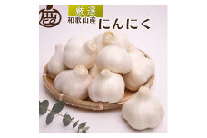 ＜5月より発送＞厳選 にんにく500g【生にんにく】【国産】※北海道・沖縄・離島への発送不可※2025年5月上旬～5月下旬頃に順次発送予定