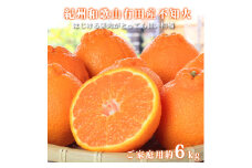 【ご家庭用訳有り】紀州有田産不知火(しらぬひ)約6kg ※2026年2月中旬～3月中旬頃に順次発送予定