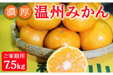 濃厚温州みかんご家庭用7.5kg（和歌山天田みかん）◆ みかんの産地和歌山　北村農園直送 ※2025年12月上旬頃より順次発送予定