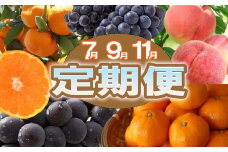 〈定期便〉【7・9・11月 全3回】産直・和歌山フルーツ（桃・ピオーネ・有田みかん）※北海道・沖縄・離島への配送不可