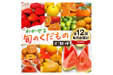 【定期便】〈毎月定期便 全12回〉わかやま旬のくだもの【S】《寄附申し込み翌々月より出荷開始》◇ ※北海道・沖縄・離島への配送不可