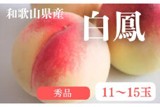和歌山県産 白鳳 桃 11～15玉入り 秀品 先行予約【2025年7月上旬以降発送】 ※離島への配送不可 | 和歌山県 白鳳 フルーツ 果物 くだもの 桃 もも 大玉 モモ ピーチ ギフト お取り寄せ 贈答用 秀 家庭用 自宅用 贈答品 化粧箱入