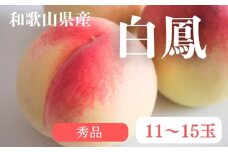 和歌山県産 白鳳 桃 11～15玉入り 秀品 先行予約【2025年7月上旬以降発送】 ※離島への配送不可 | 和歌山県 白鳳 フルーツ 果物 くだもの 桃 もも 大玉 モモ ピーチ ギフト お取り寄せ 贈答用 秀 家庭用 自宅用 贈答品 化粧箱入