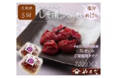 【定期便/2か月ごと/全5回】紀州南高梅しそ漬つぶれ（塩分約15％）700g×2