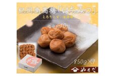紀州南高梅はちみつ塩分約10％（850g）