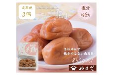 【定期便/3か月ごと/全3回】紀州南高梅「花」塩分約6％（850g）