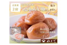 【定期便/3か月ごと/全3回】紀州南高梅はちみつ極塩分約6％（850g）