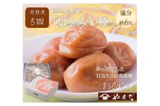 【定期便/2か月ごと/全5回】紀州南高梅はちみつ極塩分約6％（850g）