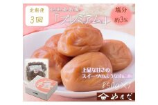 【定期便/3か月ごと/全3回】紀州南高梅プレミアム塩分約3％（850g）