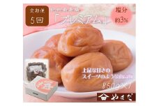 【定期便/2か月ごと/全5回】紀州南高梅プレミアム塩分約3％（850g）
