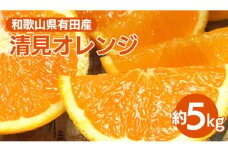 清見オレンジ[約5kg]和歌山県有田産 春みかん【果実サイズおまかせ】｜和歌山県産 柑橘 フルーツ 紀伊国屋文左衛門本舗