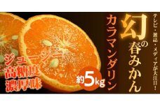 カラマンダリン[約5kg] 和歌山県有田産 春みかん 【果実サイズおまかせ】｜和歌山県産 柑橘 フルーツ 紀伊国屋文左衛門本舗