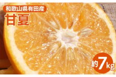 甘夏(あまなつ)秀品[約7kg] 和歌山県有田産 春みかん 【果実サイズおまかせ】｜和歌山県産 柑橘 フルーツ 紀伊国屋文左衛門本舗 ※2025年4月上旬～4月下旬頃に順次発送予定