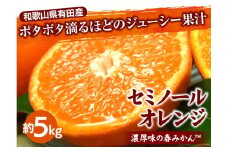 セミノールオレンジ[約5kg] 和歌山県有田産 春みかん 【果実サイズおまかせ】｜和歌山県産 柑橘 フルーツ 紀伊国屋文左衛門本舗 ※2025年4月中旬～5月下旬頃に順次発送予定