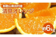 清見オレンジ[約6kg]和歌山県湯浅町田村産 春みかん【果実サイズおまかせ】｜和歌山県産 柑橘 フルーツ 紀伊国屋文左衛門本舗 ※2025年3月中旬～4月下旬頃に順次発送予定