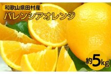 バレンシアオレンジ［約5kg］湯浅町田村産 春みかん 春柑橘 【果実サイズおまかせ】｜和歌山県産 柑橘 フルーツ 紀伊国屋文左衛門本舗 ※2025年6月上旬～7月下旬頃に順次発送予定
