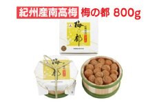 紀州産南高梅 梅の都 800g