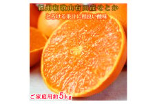 とろける食感!ジューシー柑橘 せとか 約5kg 【家庭用 訳あり】 ｜みかん ミカン 柑橘 果物 くだもの フルーツ せとか 甘い 先行予約 国産 産地直送 人気 美浜町　※2026年2月上旬～3月中旬頃に順次発送予定