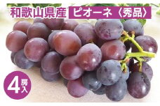 ◆先行予約◆ 和歌山県産 ピオーネ 4房入り〈秀品〉 ※2025年8月下旬～9月上旬頃に順次発送予定 ※離島への配送不可