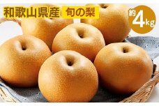 ◆先行予約◆和歌山県産 旬の梨 約4kg ※2025年8月中旬～9月中旬頃に順次発送予定 ※離島への配送不可