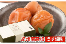 紀州南高梅 うす塩味