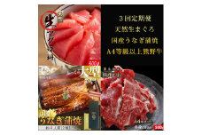 〈毎月定期便〉紀州和歌山うまいもんセットB(生まぐろ・うなぎ蒲焼・熊野牛)全3回 ※離島への配送不可