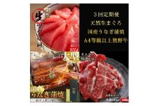 〈毎月定期便〉紀州和歌山うまいもんセットB(生まぐろ・うなぎ蒲焼・熊野牛)全3回 ※離島への配送不可