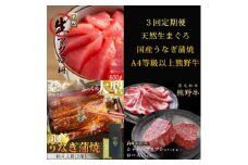〈毎月定期便〉紀州和歌山うまいもんセットA(生まぐろ・うなぎ蒲焼・熊野牛)全3回 ※離島への配送不可