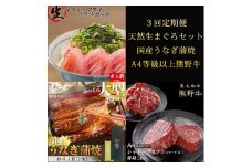 〈毎月定期便〉紀州和歌山うまいもんセットC(生まぐろ・うなぎ蒲焼・熊野牛)全3回 ※離島への配送不可