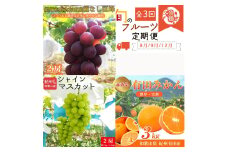〈定期便〉【8・9・12月 全3回】紀州和歌山産旬のフルーツセット(種なし巨峰・シャイン・みかん) ※離島への配送不可