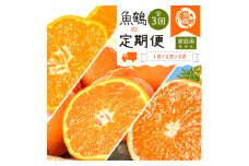 〈定期便〉【1・2・3月 全3回】紀州和歌山産旬のご家庭用柑橘セット(みかん・不知火・清見) ※離島への配送不可