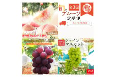 〈定期便〉【7・8・9月 全3回】紀州和歌山産旬のフルーツセット（桃・種なし巨峰・シャインマスカット）※離島への配送不可