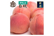 和歌山の厳選白桃 約4kg ｜ 白鳳・清水白桃・川中島・もも・はくとう【化粧箱入り】 ※北海道・沖縄・離島への配送不可 ※2025年7月上旬～7月下旬頃に順次発送予定