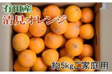 【濃厚】有田産清見オレンジ約5kg（サイズおまかせまたは混合）ご家庭用 ※2026年2月中旬～3月下旬頃に順次発送予定