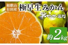 こだわりの極早生みかん 約2kg 農家直送 有機質肥料100% サイズ混合 ｜ みかん 極早生 早生 柑橘 果物 くだもの 果実 フルーツ 和歌山 有田 ※北海道・沖縄・離島への配送不可 ※2025年9月下旬～10月中旬頃に順次発送予定